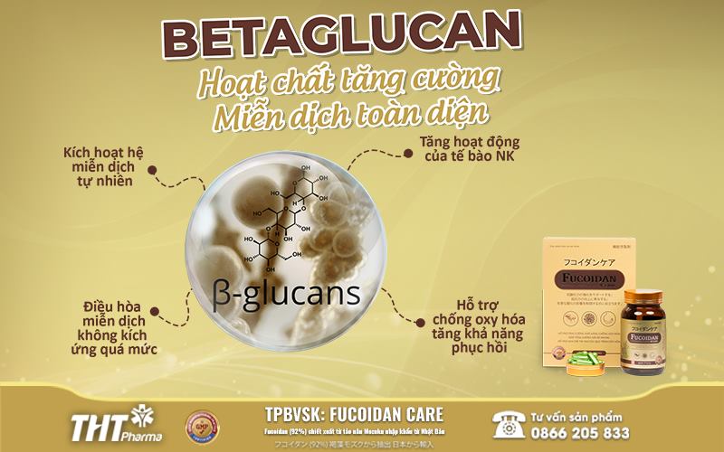 Betaglucan hoạt chất tăng cường miễn dịch toàn diện